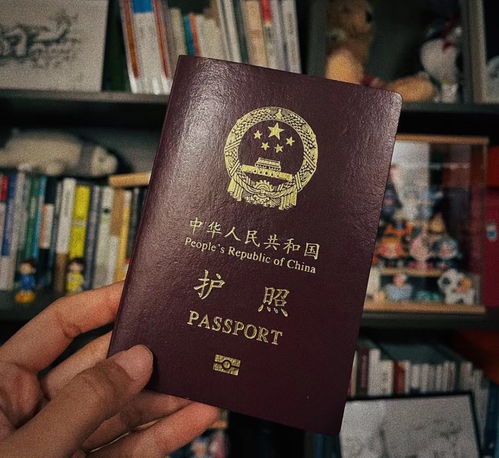出入境政策优化,国际机票瞬时搜索量增长7倍,杭州有旅行社在线招 出境部工作人员